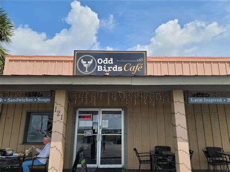 odd birds cafe st augustine.